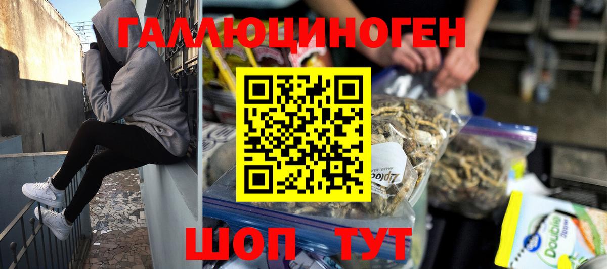 Псилоцибиновые грибы прущие грибы Карачаевск