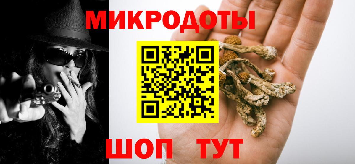 Карачаевск  закладки  Вход с VPN  Галлюциногенные грибы Magic Shrooms 