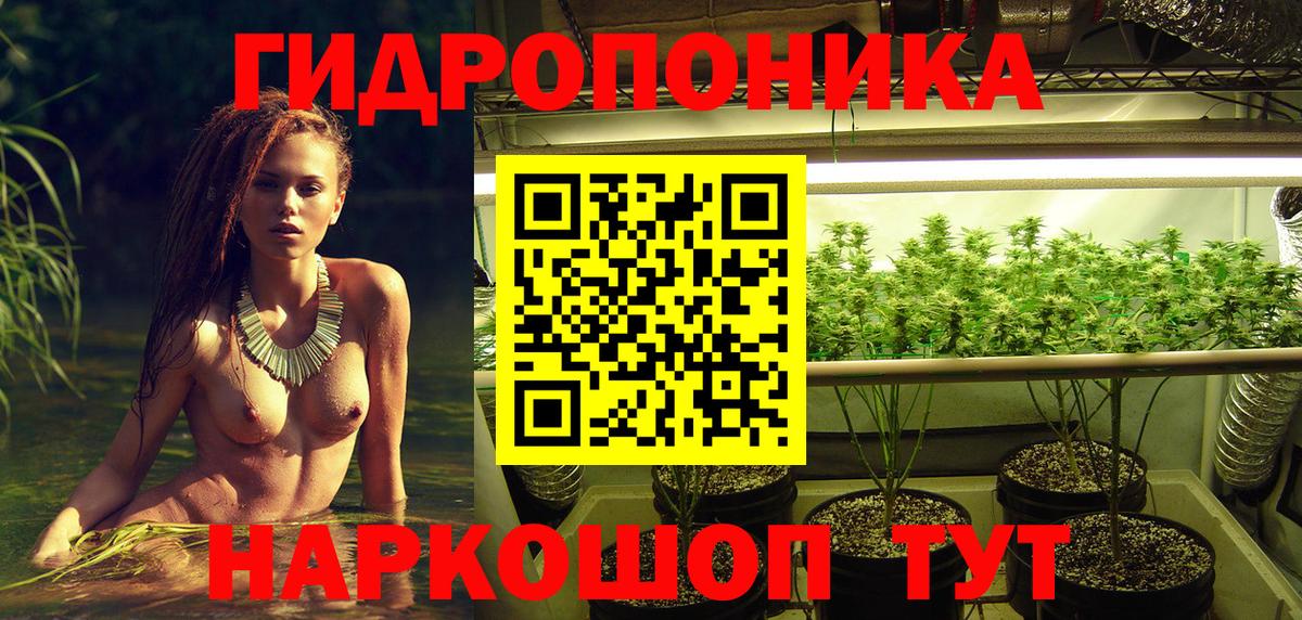 Карачаевск  Канабис VHQ  Вход с VPN  Канабис Bruce Banner  Каннабис Ganja 